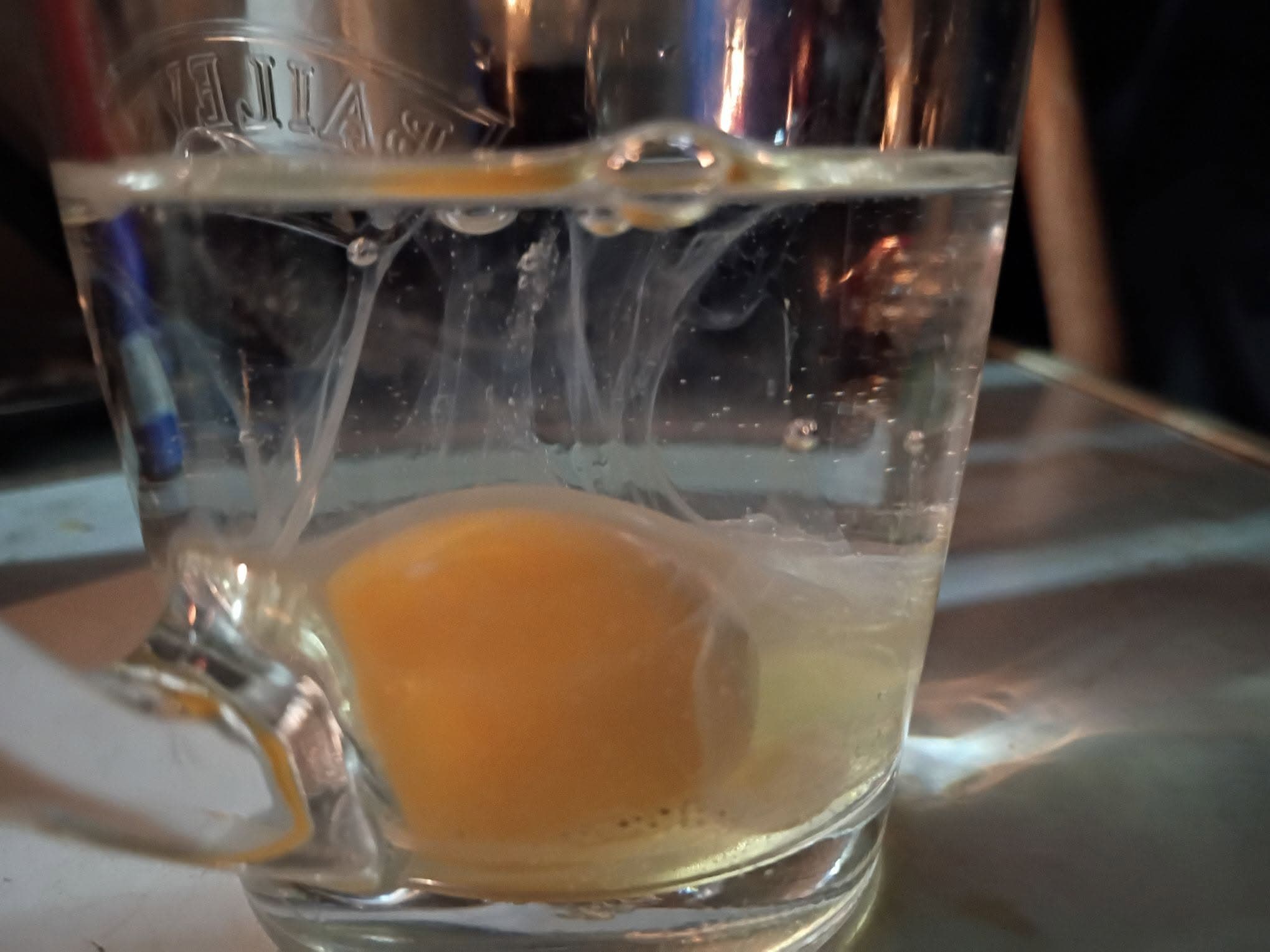 Close view of an egg cleanse with translucent web-like strings extending through water
